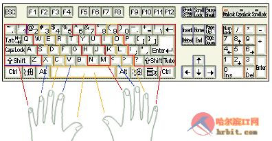 电脑初学者入门：如何快速准确地学会打字的实用技巧