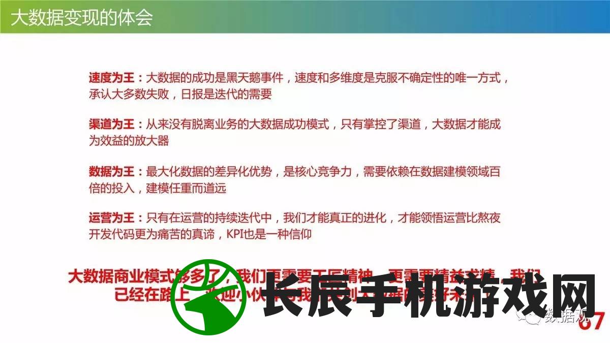 新奥免费资料全年公开管家婆,数据解答解释落实_未来版.6.628